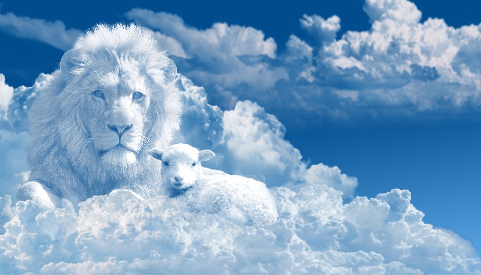 leon y cordero en forma de nube 